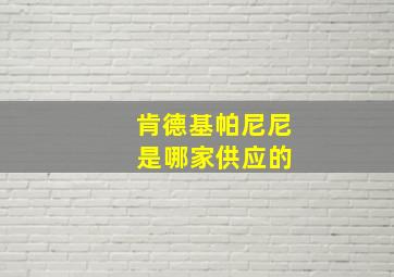 肯德基帕尼尼 是哪家供应的